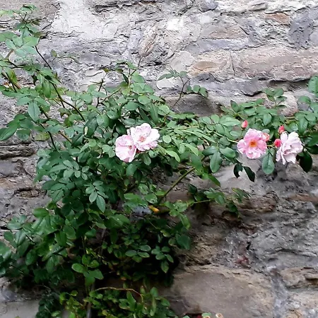 Lo Sghimbescio Bed and Breakfast
